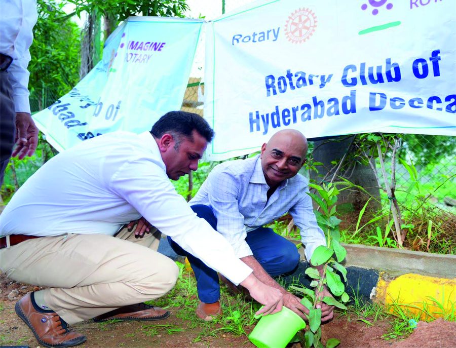 Tree plantation drive